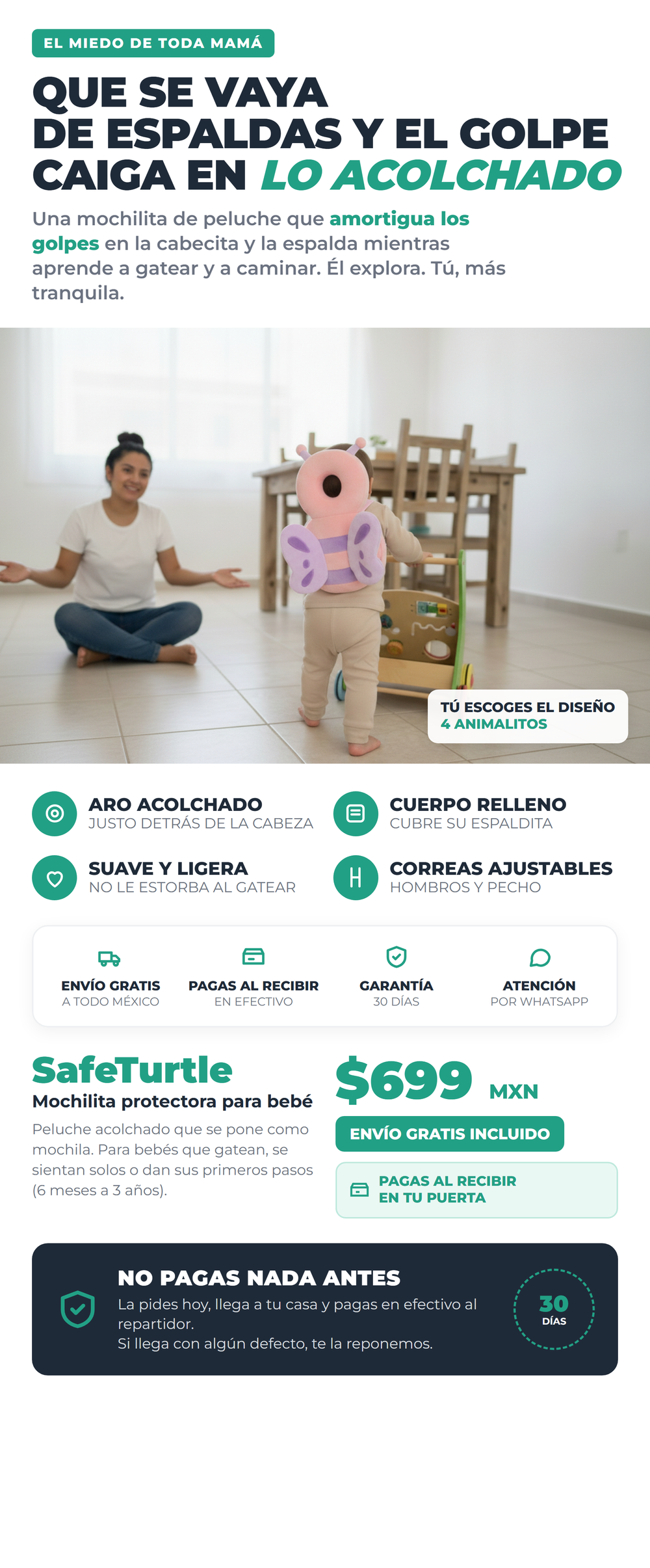 SafeTurtle v3 01_hero