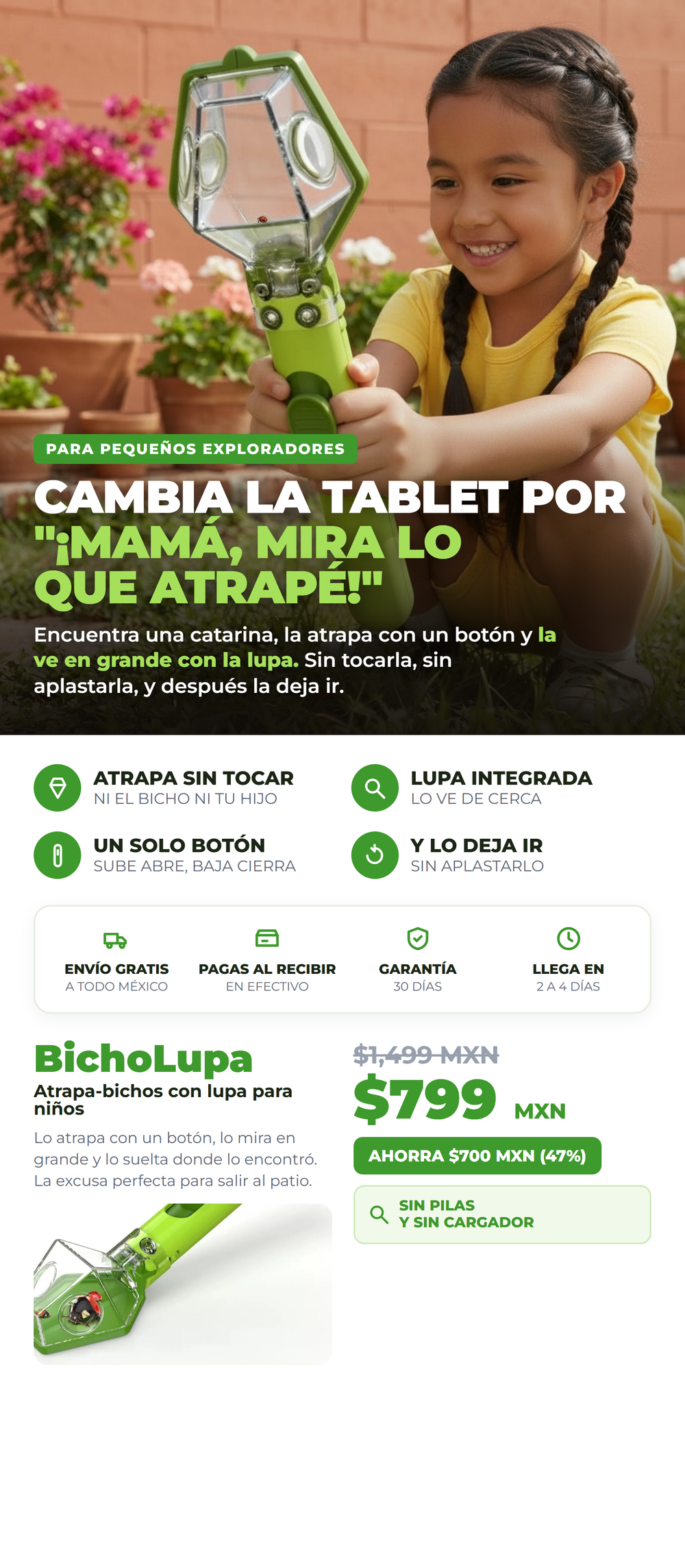 BichoLupa 01_hero