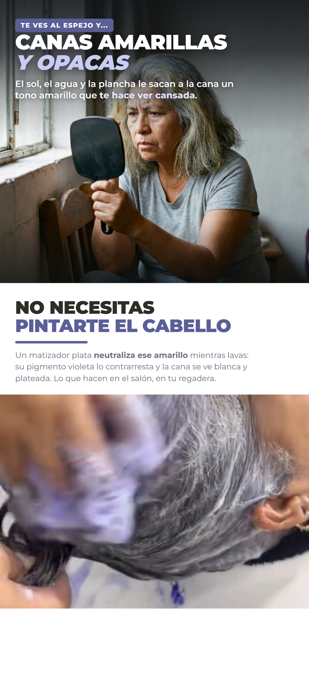 PlatiSeda 02_problema