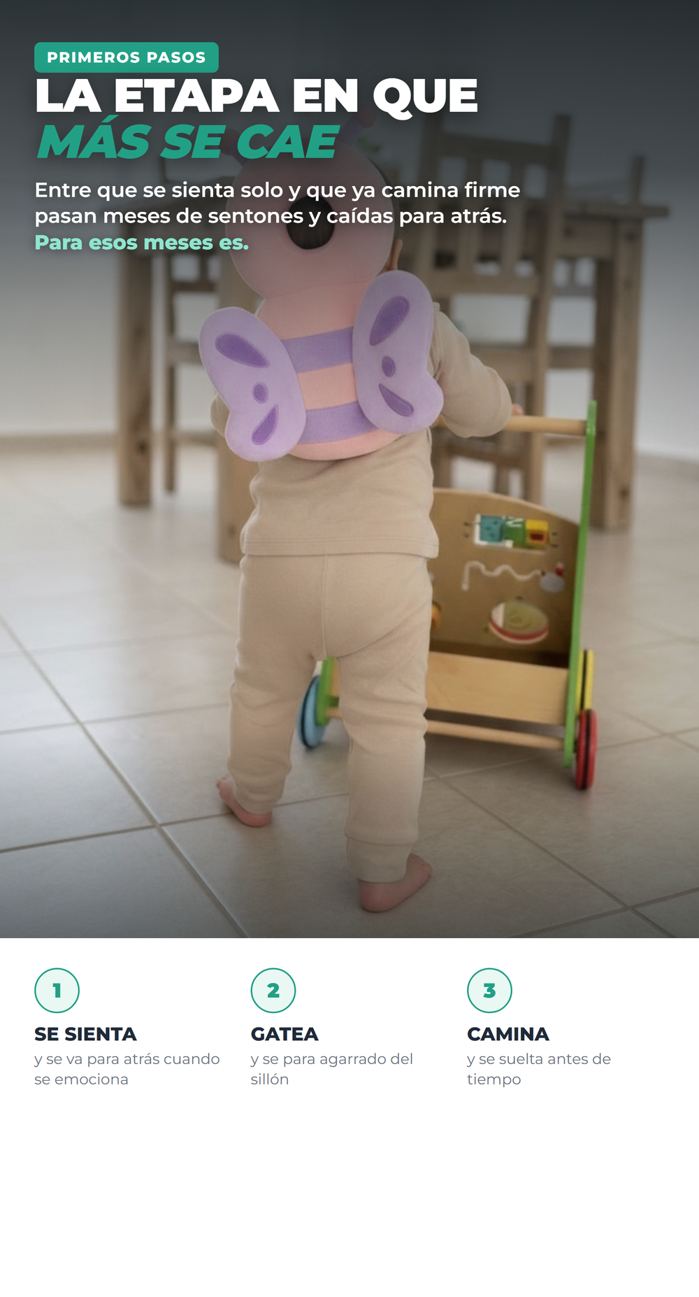 SafeTurtle v3 04_momentos
