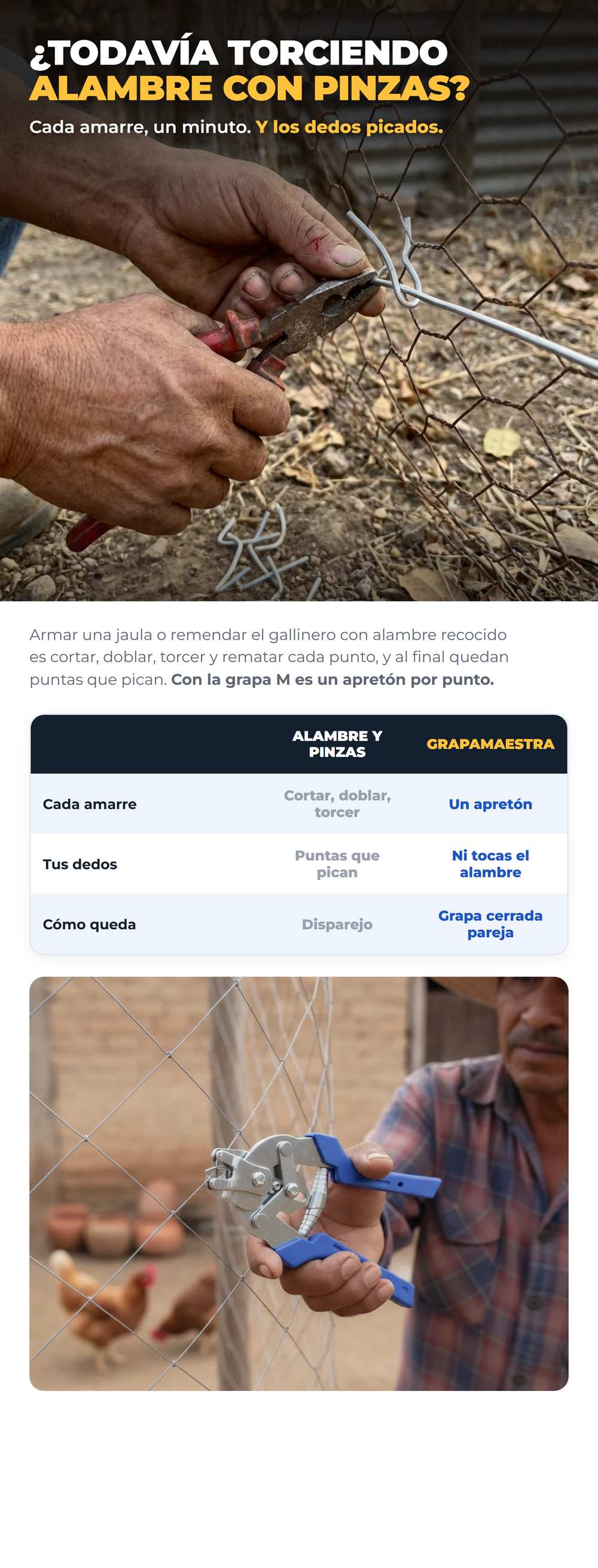 GrapaMaestra 04_problema