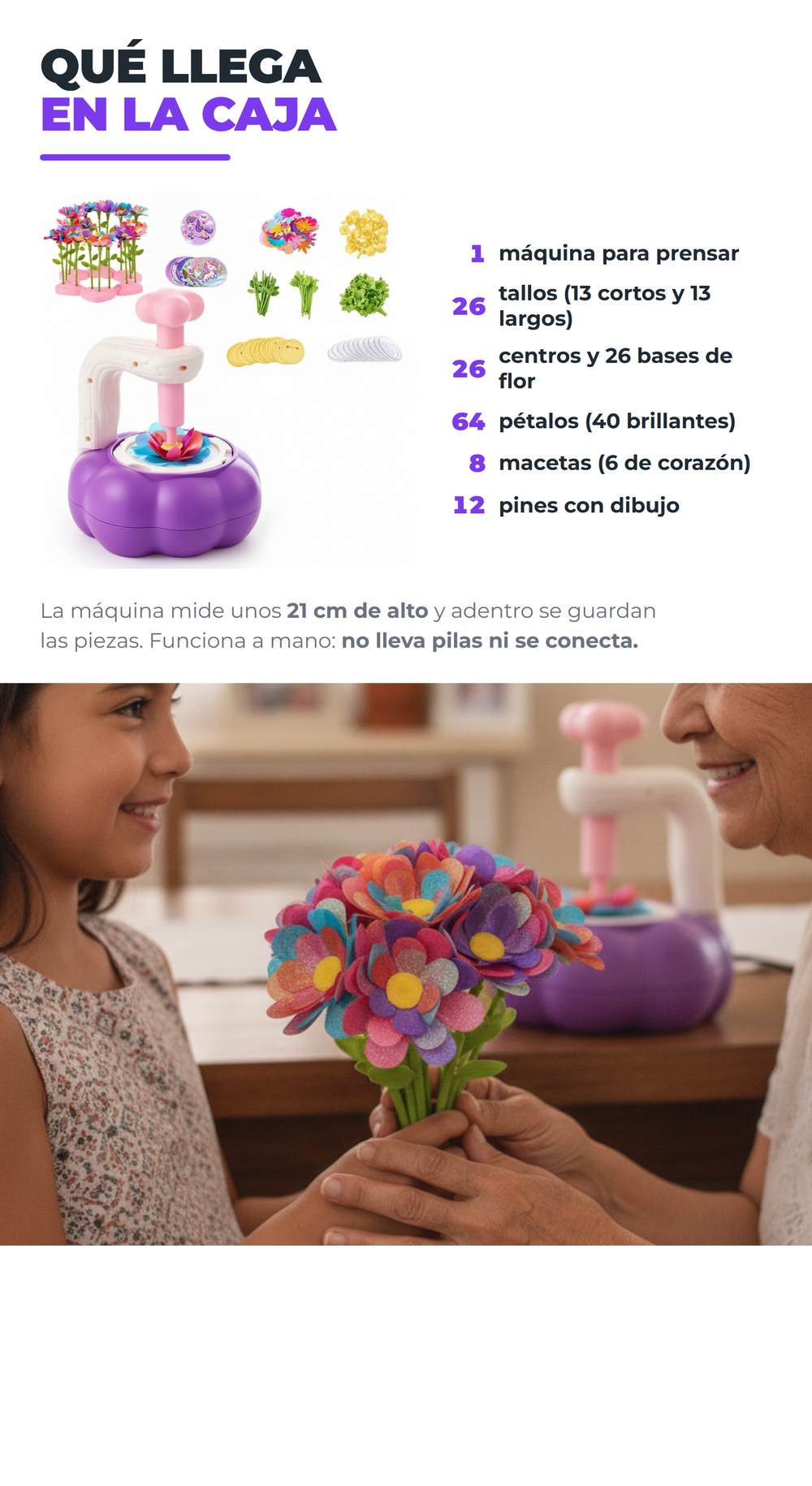 FlorArte 04_trae