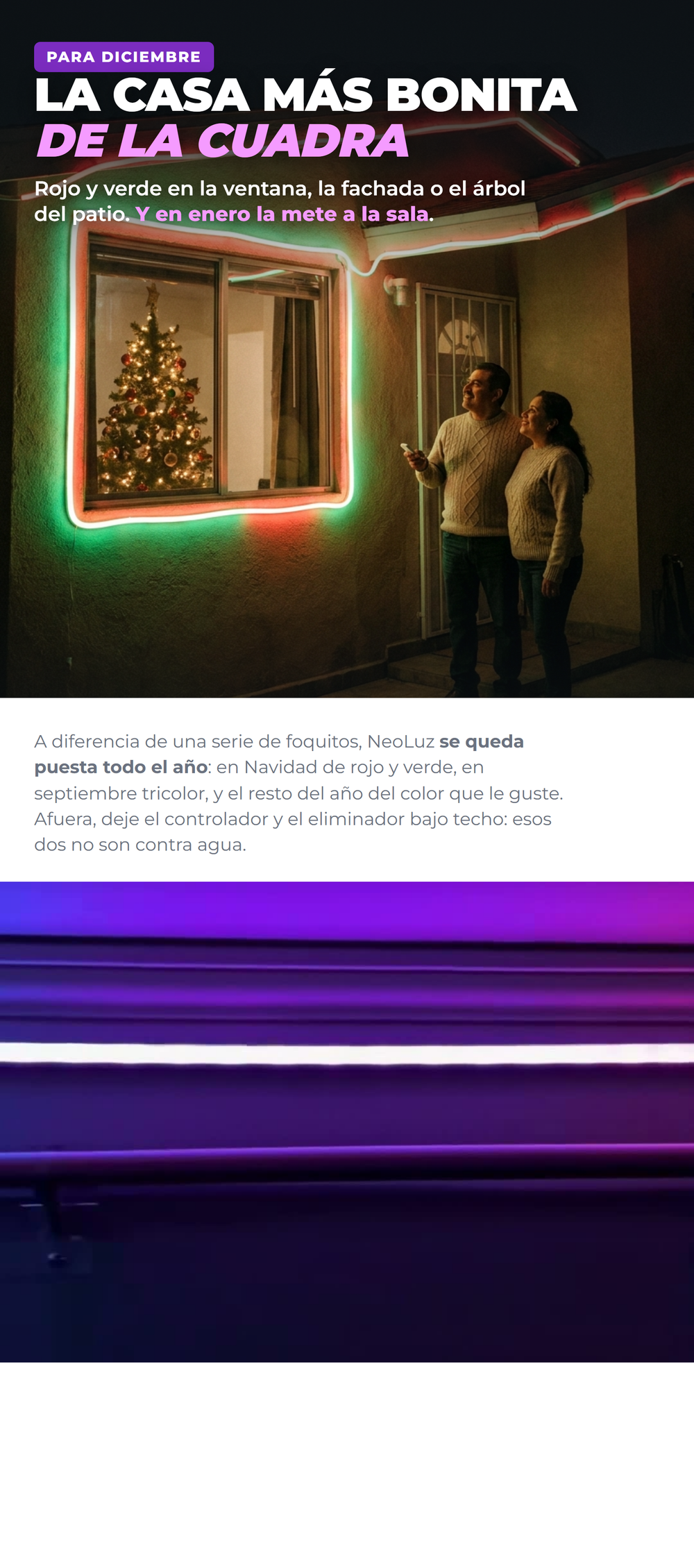 NeoLuz 05_navidad
