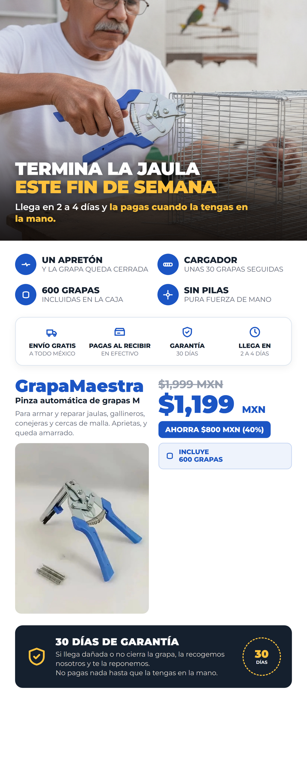 GrapaMaestra 08_oferta
