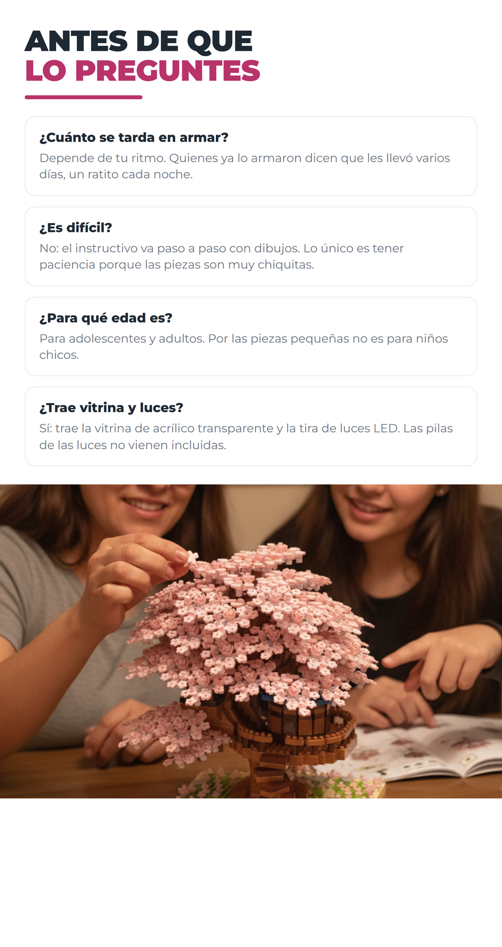 ArmaCerezo 09_preguntas