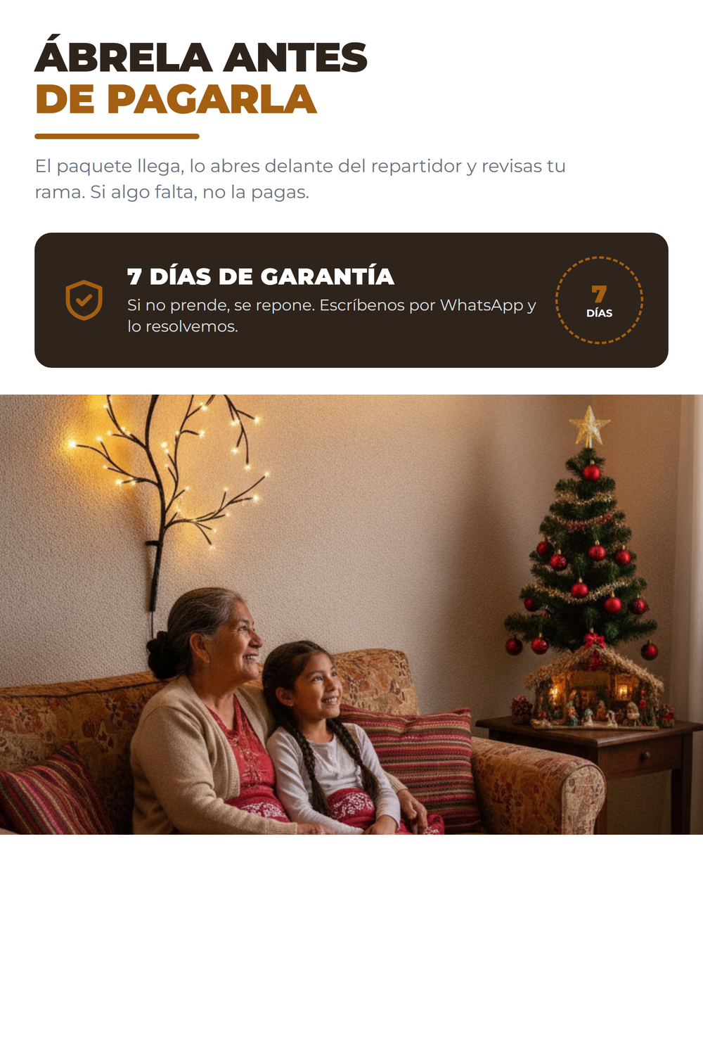 RamaLuz 09c_garantia