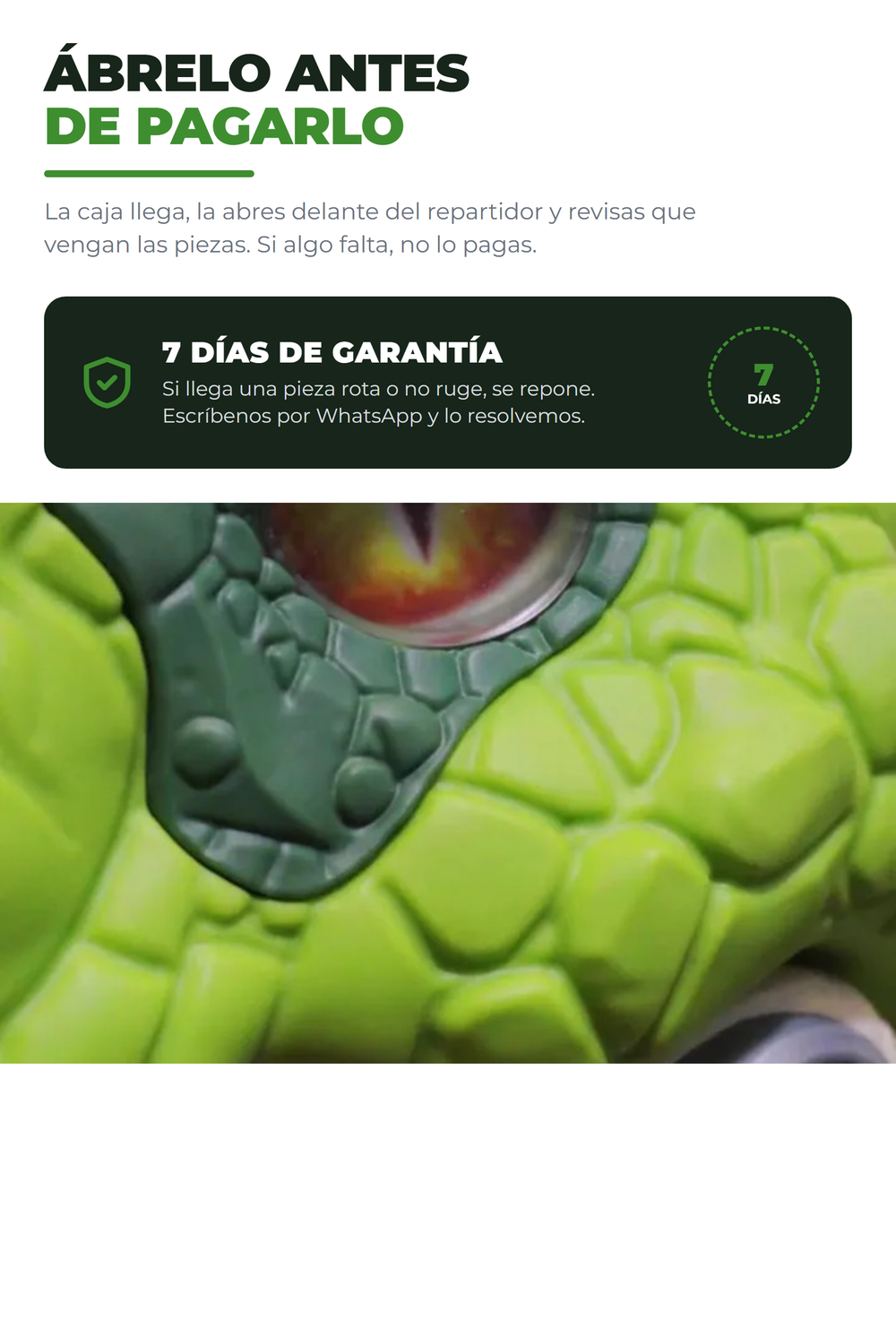 RexRider 09c_garantia