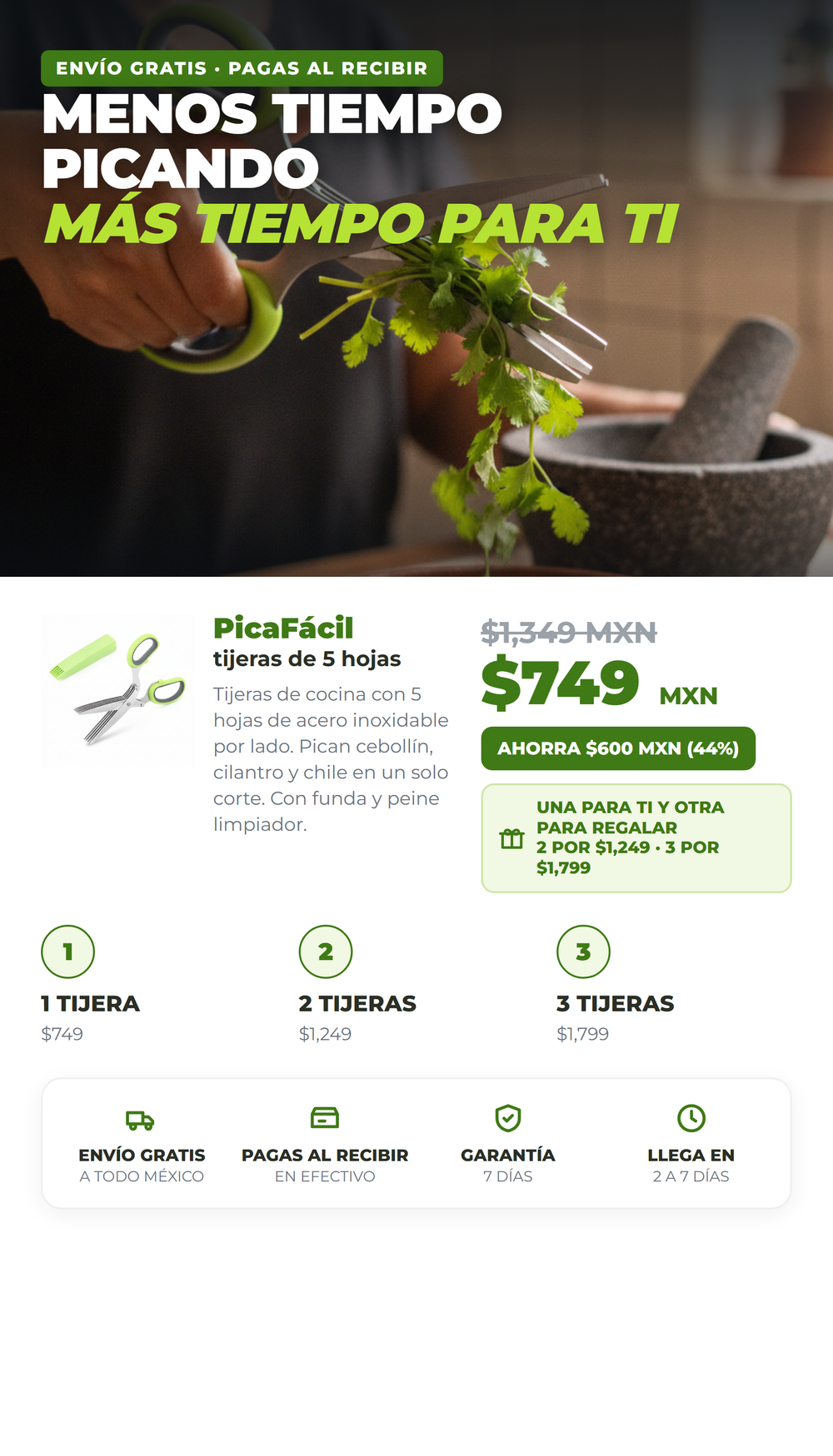 PicaFacil 10_oferta