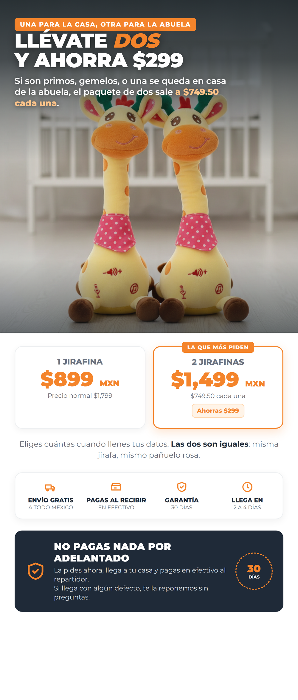 Jirafina 10_oferta