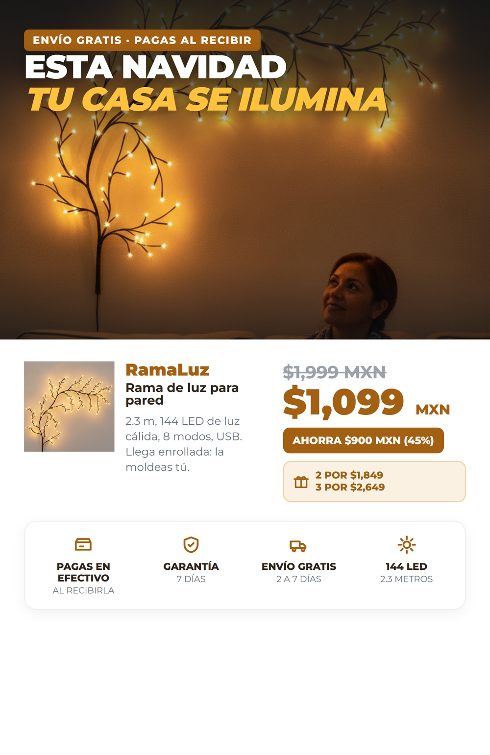RamaLuz 10_oferta