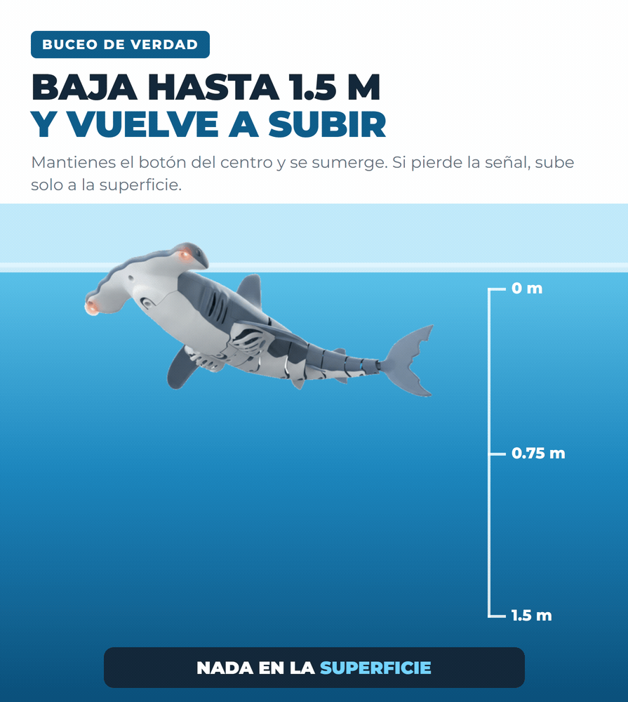 TiburonBuzo se sumerge