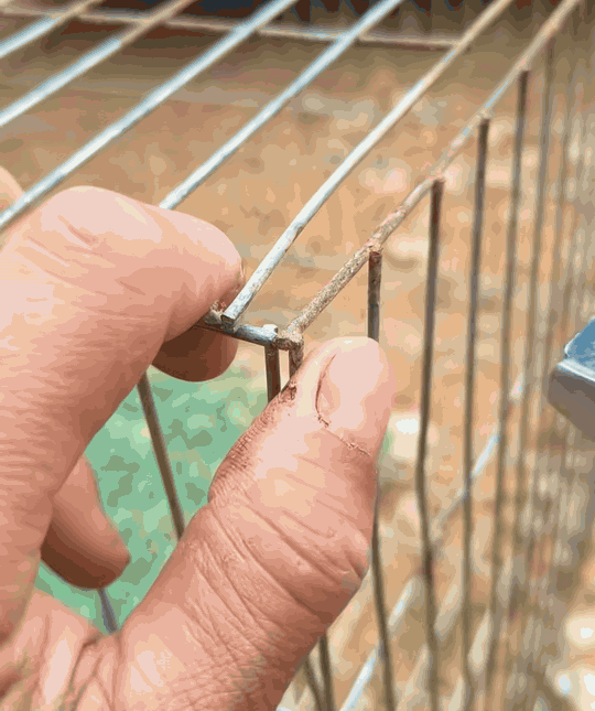 GrapaMaestra cerrando una grapa en una jaula