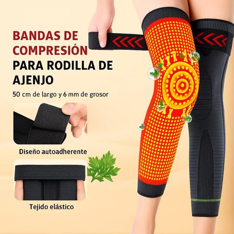 KneeFlex